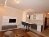 apartmani centar lux zlatibor 6 1