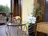 apartmani lux spa zlatibor 2 7