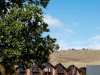 zenora-zlatibor-02