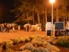 nocni-zivot-na-zlatiboru-2013-23