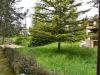zlatibor-privatni-smestaj-apartmani-attractive-2-6