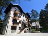 zlatibor-privatni-smestaj-apartmani-attractive-sadrzaj-2