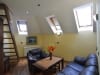 zlatibor smestaj apartmani vila akademik 302 04