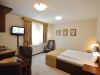 zlatibor-smestaj-apartmani-vila-u-borovom-parku-101-1