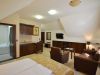 zlatibor-smestaj-apartmani-vila-u-borovom-parku-401-3