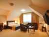 zlatibor-smestaj-apartmani-vila-u-borovom-parku-402-1