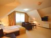 zlatibor-smestaj-apartmani-vila-u-borovom-parku-402-2
