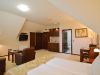 zlatibor-smestaj-apartmani-vila-u-borovom-parku-402-3