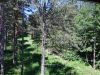 zlatibor-travel-smestaj-apartmani-elegance-15-11
