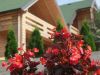 zlatibor-travel-smestaj-brvnare-zlatibor-3-01