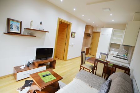 apartman kalman 11 zlatibor smestaj