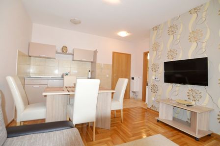 apartmani master lux zlatibor smestaj