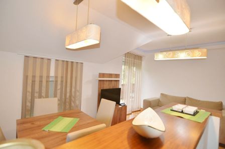 apartmani zimski san zlatibor smestaj