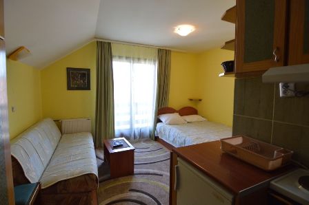 Apartman 1 | Vila Andrej Zlatibor