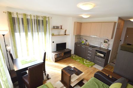 zlatibor smestaj apartman braon